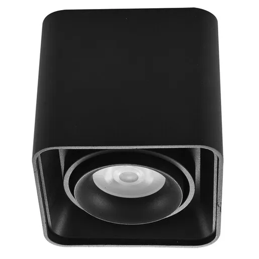 Forma Plafonska lampa AFS108-1C BK