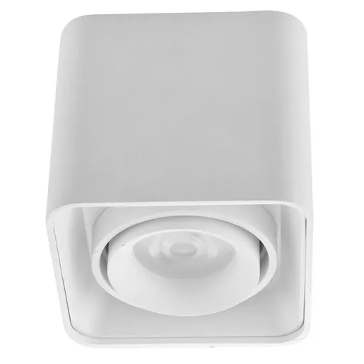Forma Plafonska lampa AFS108-1C WH