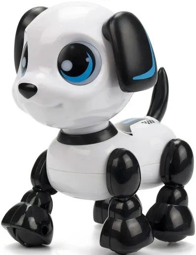ROBO PAS