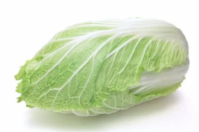 KUPUS KINESKI