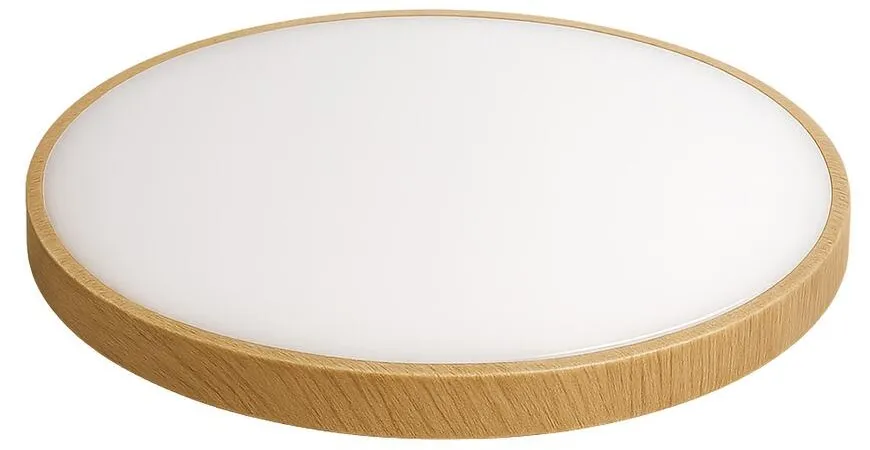 Plafonjera Renee LED 55W IP54 4000K