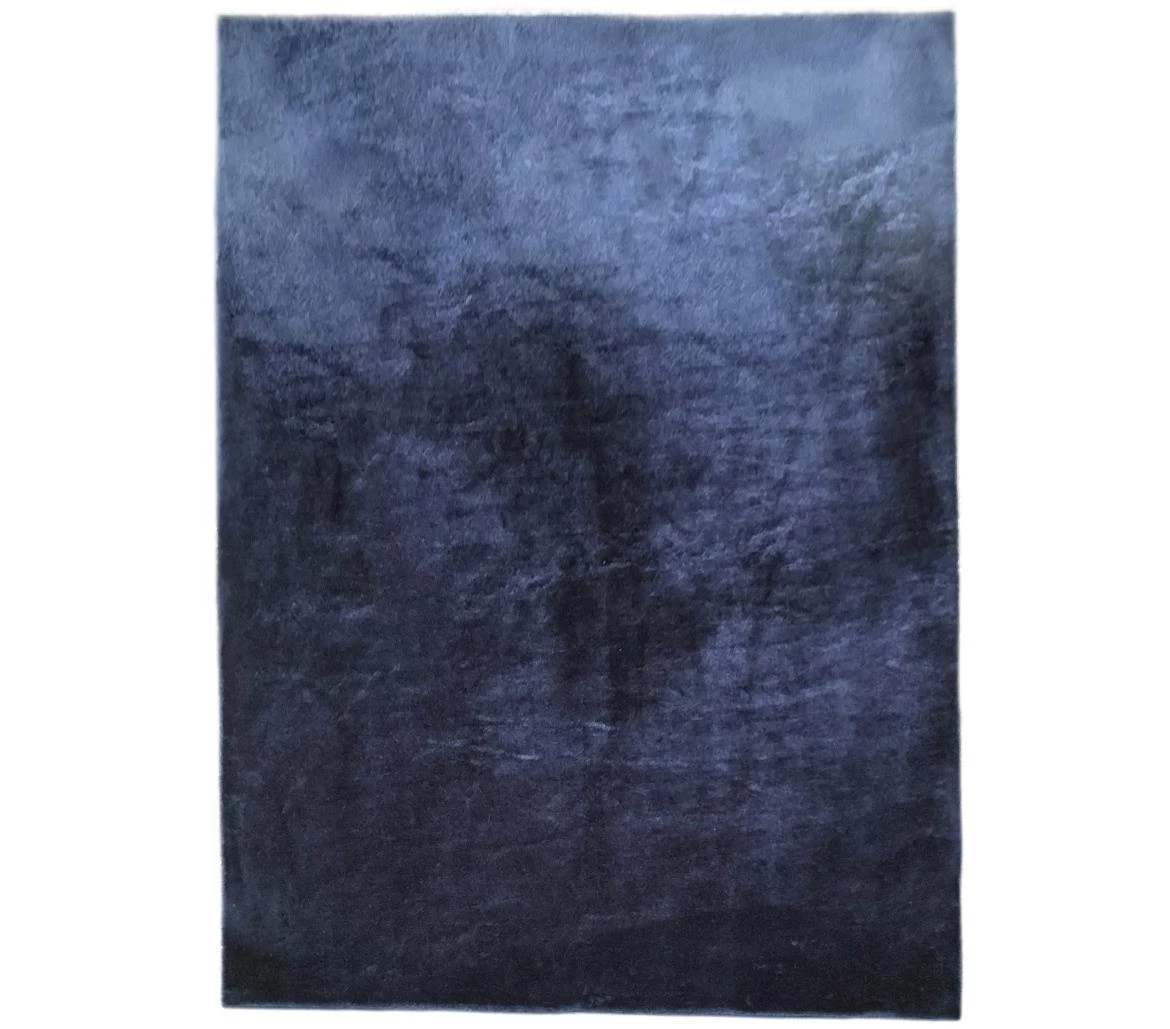 Tepih Soft Shaggy Zsofia 160 x 230 cm plavi