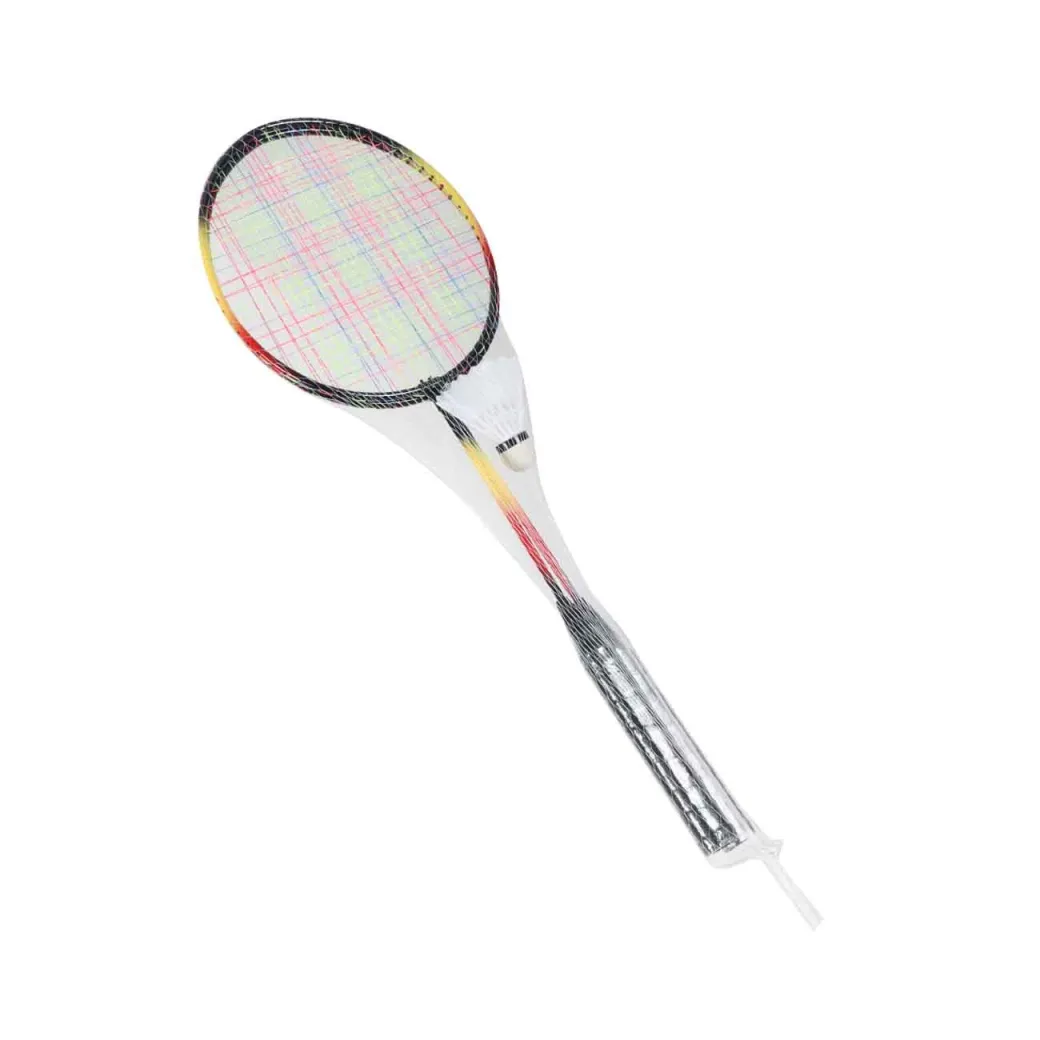 DENIS Set za badminton sa 2 reketa i 1 loptom