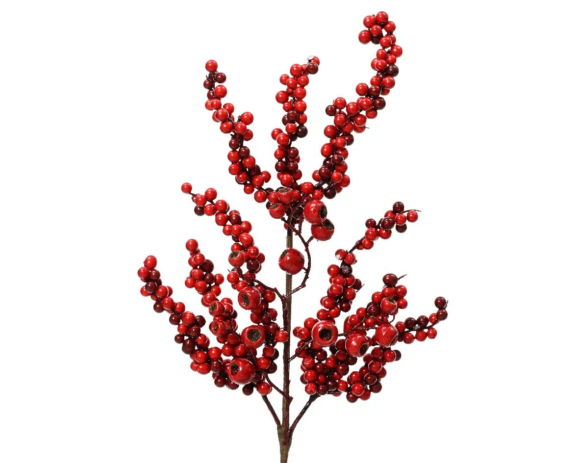 Grana - bobice penaste crvene - 60cm