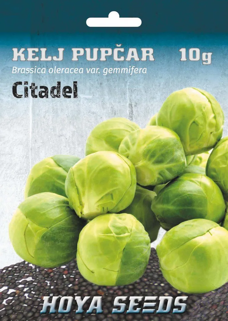 Kelj pupčar Citadel - Brassica oleracea var. Gemmifera