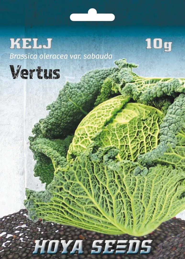 Kelj vertus - Brassica oleracea var. sabauda