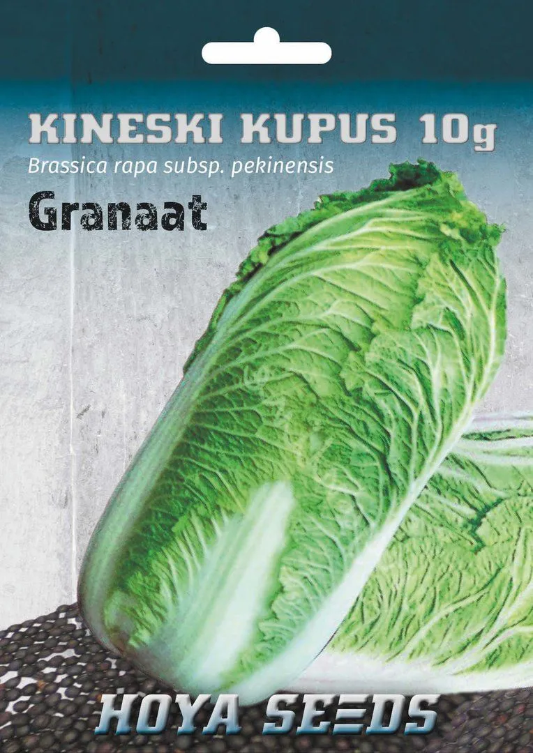 Kineski kupus - Brassica rapa subsp. Pekinensis