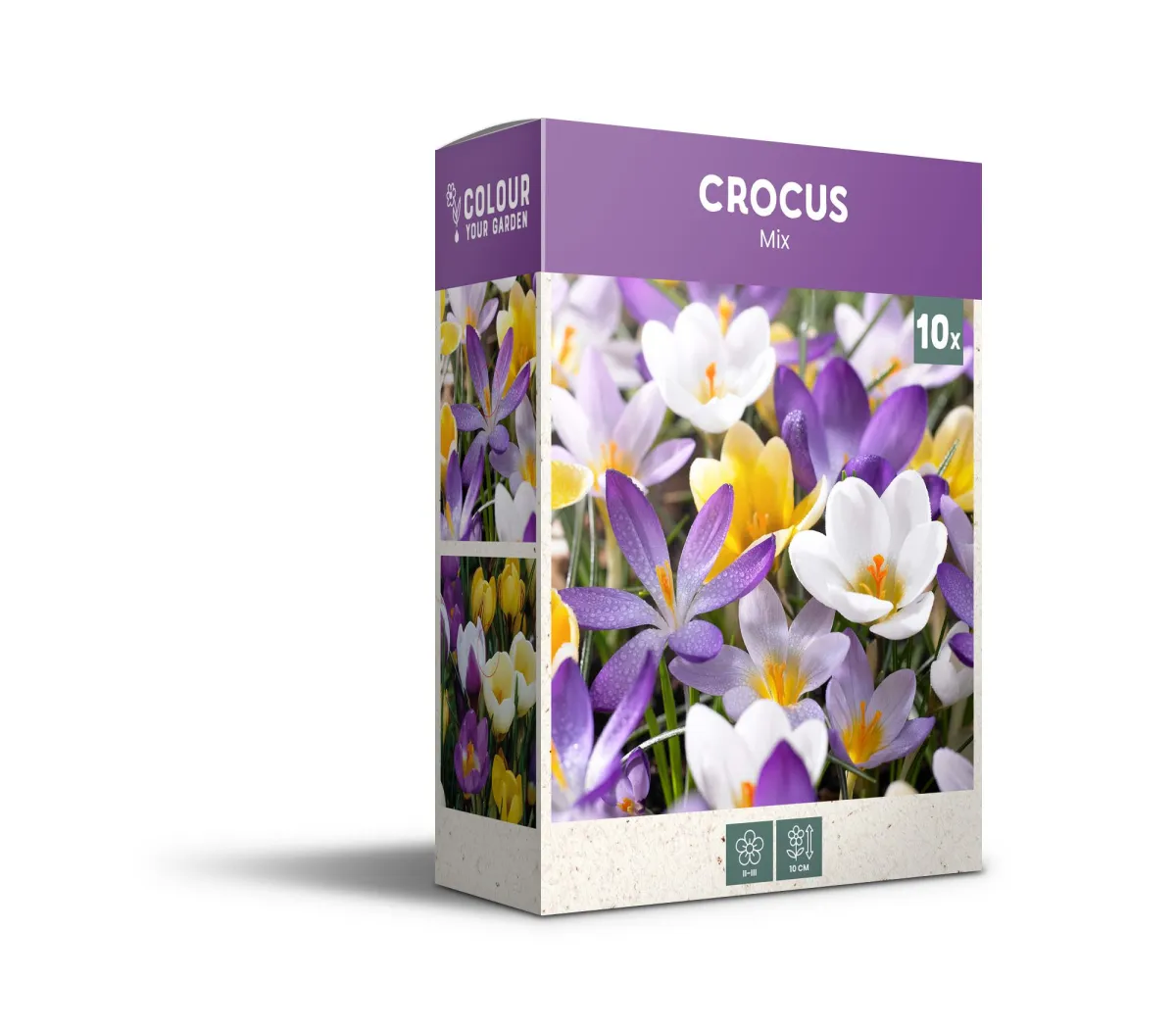 Krokus - Crocus Botanical Mix - pakovanje 10 lukovica