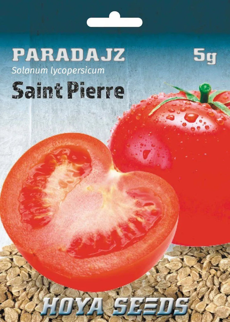 Paradajz Saint Pierre - Solanum lycopersicum