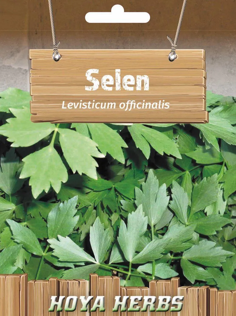 Selen - Levisticum officinalis