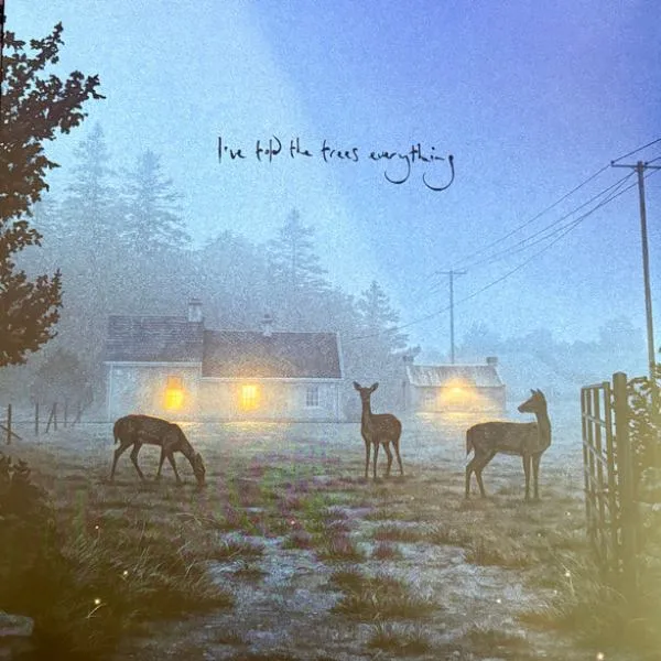 Dermot Kennedy – I've Told The Trees Everything