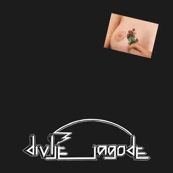 Divlje Jagode – Divlje Jagode