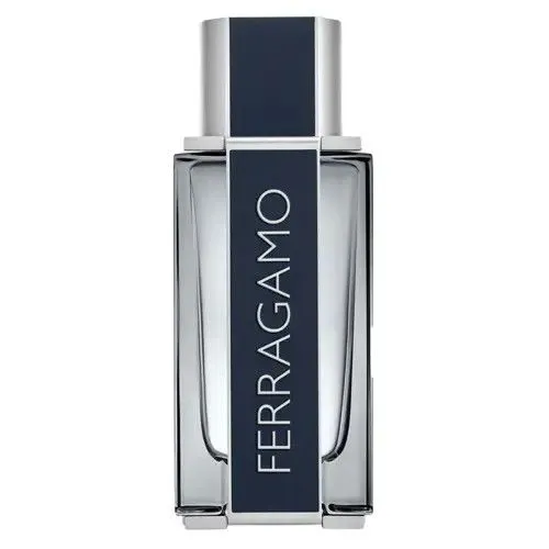 SALVATORE FERRAGAMO Ferragamo Edt 100ml