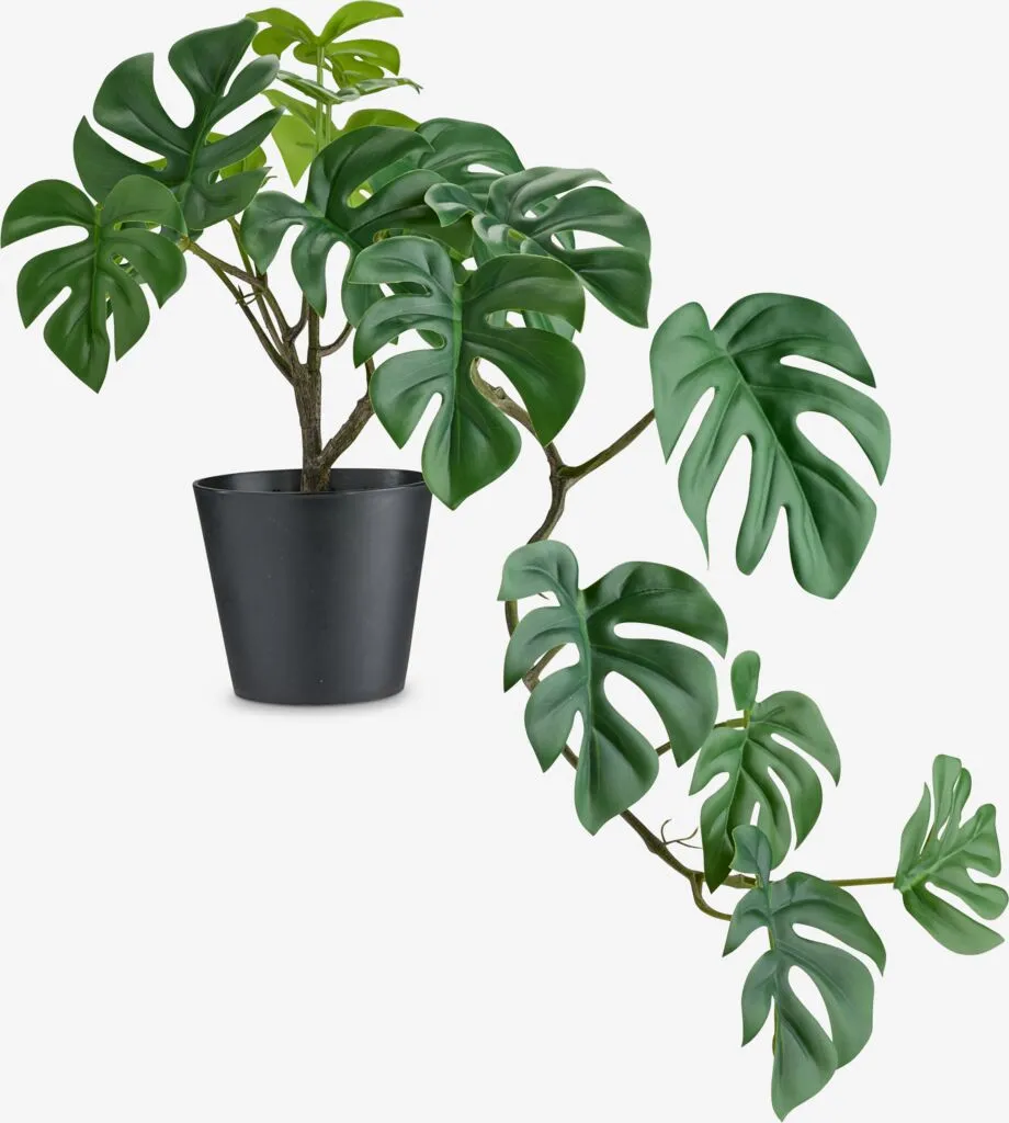Veštačka biljka MADSEN D55cm zelena