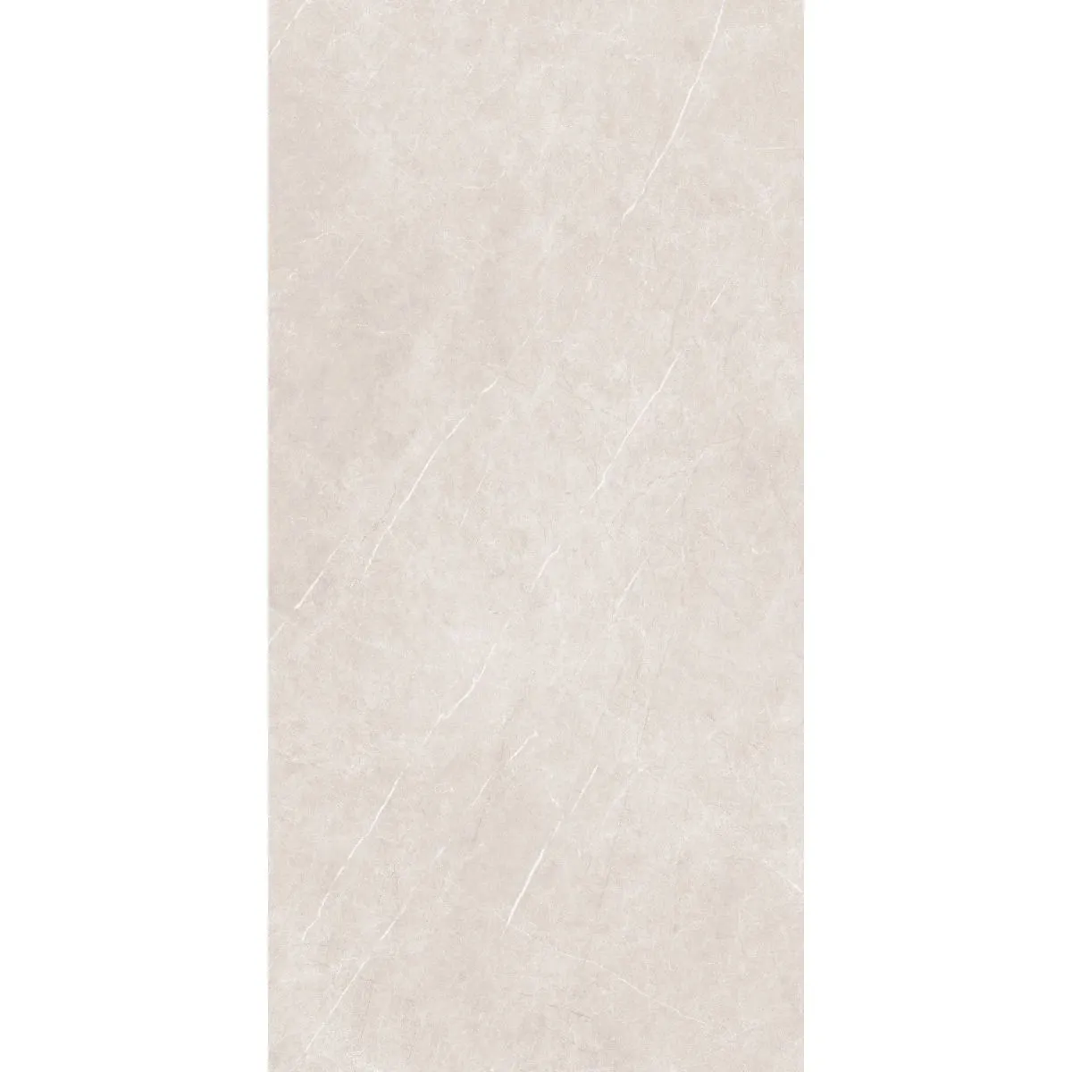 Arena Elegant Taupe 60x120 RECT 10mm Braon