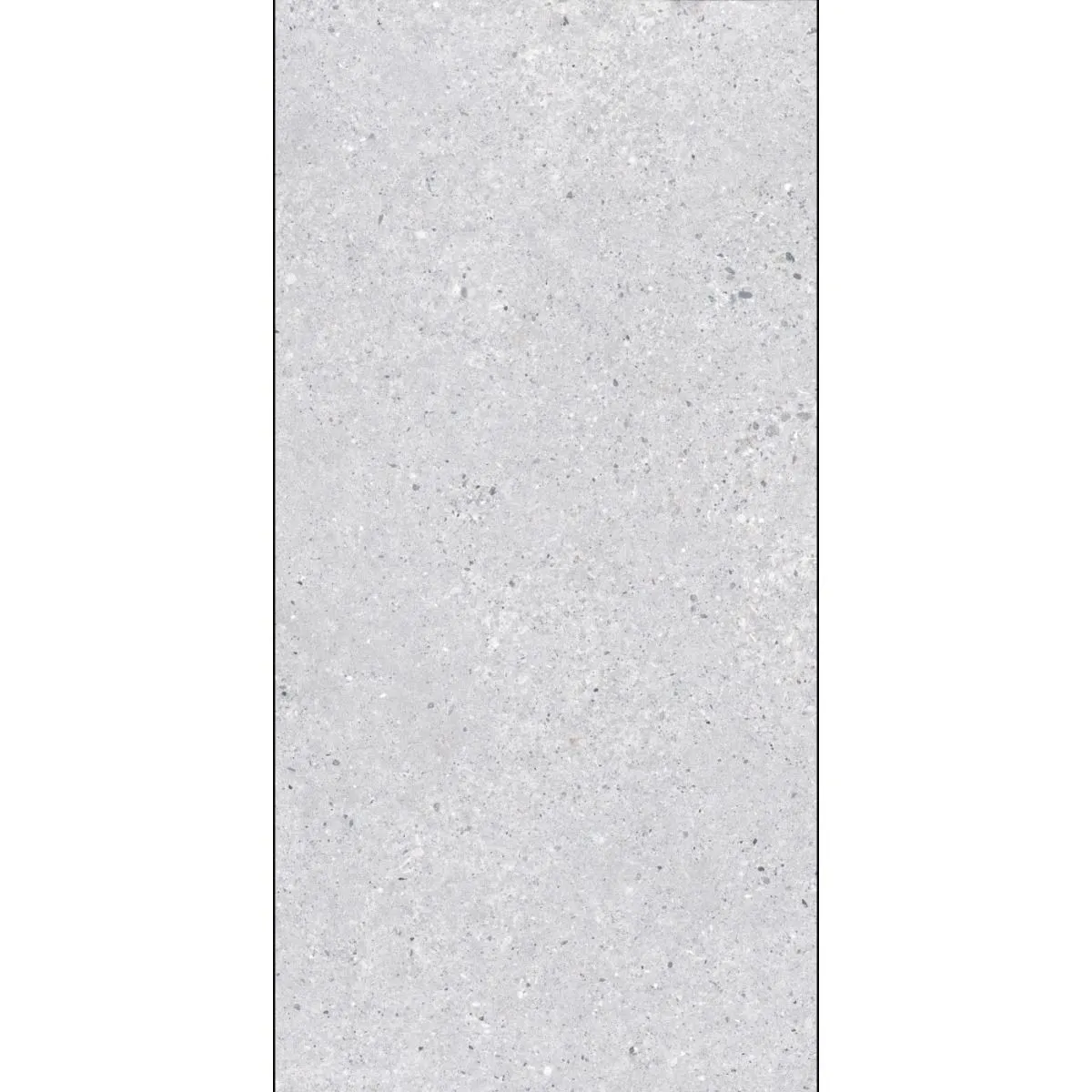 Arena Terazzo Grigio 60x120 RECT 10mm R10 Siva