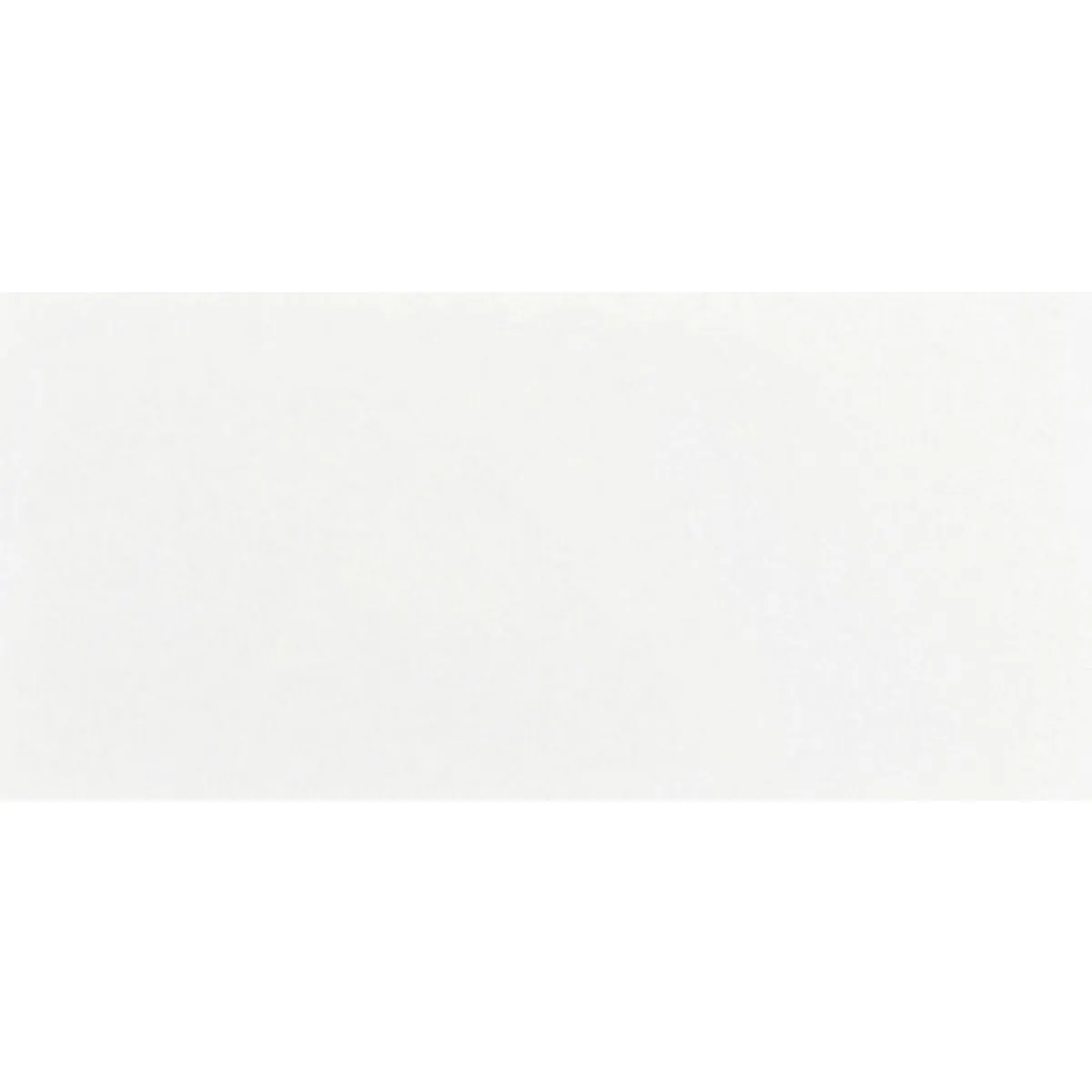 Kanjiža BIANCA MAT 30x60 Bela