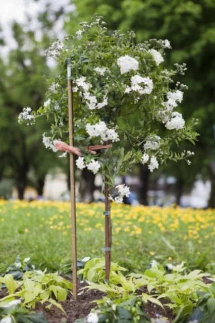 Windhager šipka 150cm plastična ( WH 05746 )
