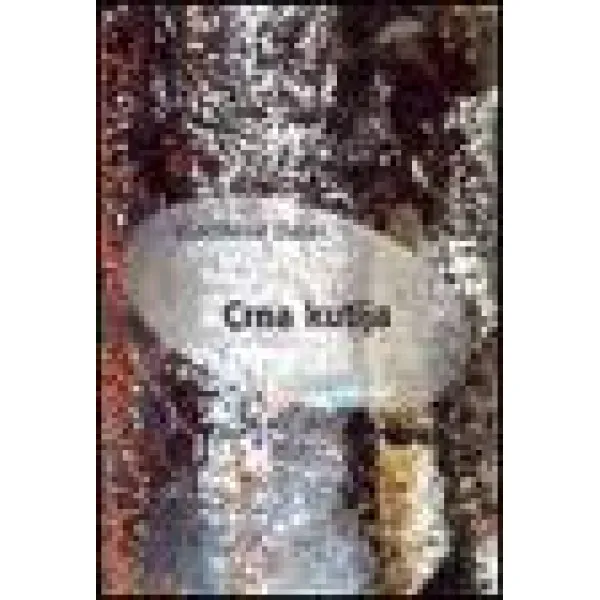 CRNA KUTIJA - Vladislav Bajac