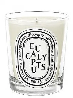Diptyque Eucalyptus Candle Mirisna svijeća