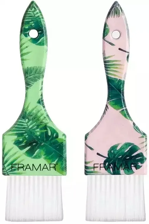 Framar Power Painter Palmshell Brush Set Set četki za bojenje kose