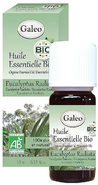 Galeo Organic Essential Oil Eucalyptus Radiata Organsko eterično ulje "Eucalyptus Radiata"