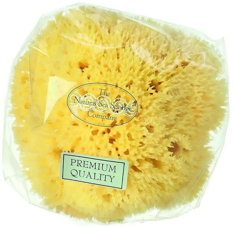 Hydrea London Honeycomb Sea Sponge Premium Quality Prirodna morska sunđer, 12,7 cm