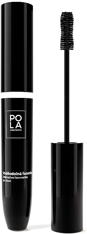 Maskara Pola Cosmetics Infinity Mascara