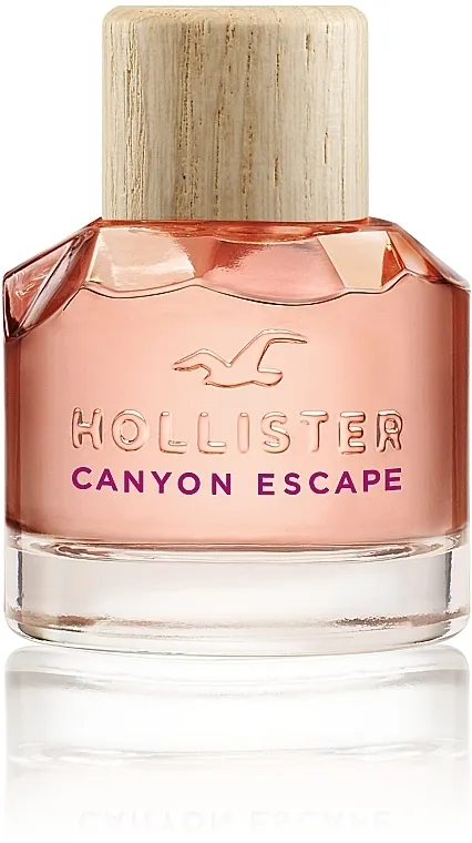 Parfimisana vodica Hollister Canyon Escape for Her