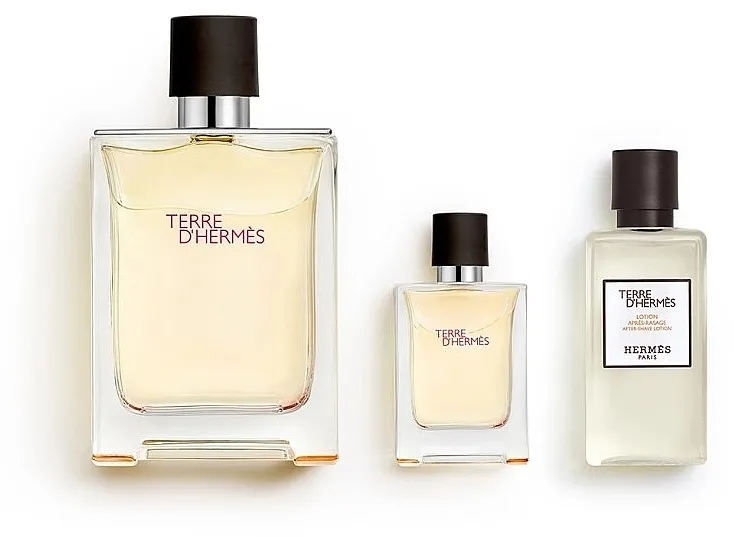 Set (edt/100ml + edt/12.5ml + ash/lot/40ml) Hermes Terre d’Hermes