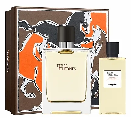 Set (edt/100ml + sh/gel/80ml) Hermes Terre d'Hermes