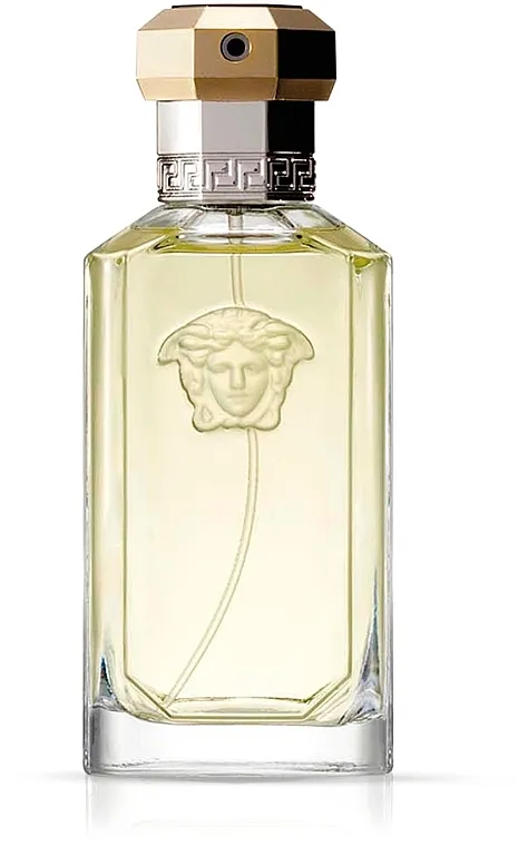 Toaletna voda Versace Dreamer