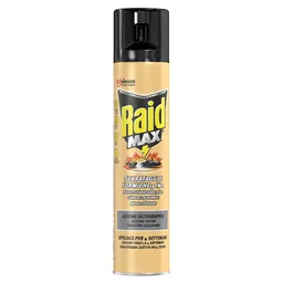 Sprej Raid protiv gmizuc. insekata 300ml