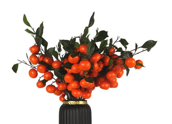 Mandarina F10F