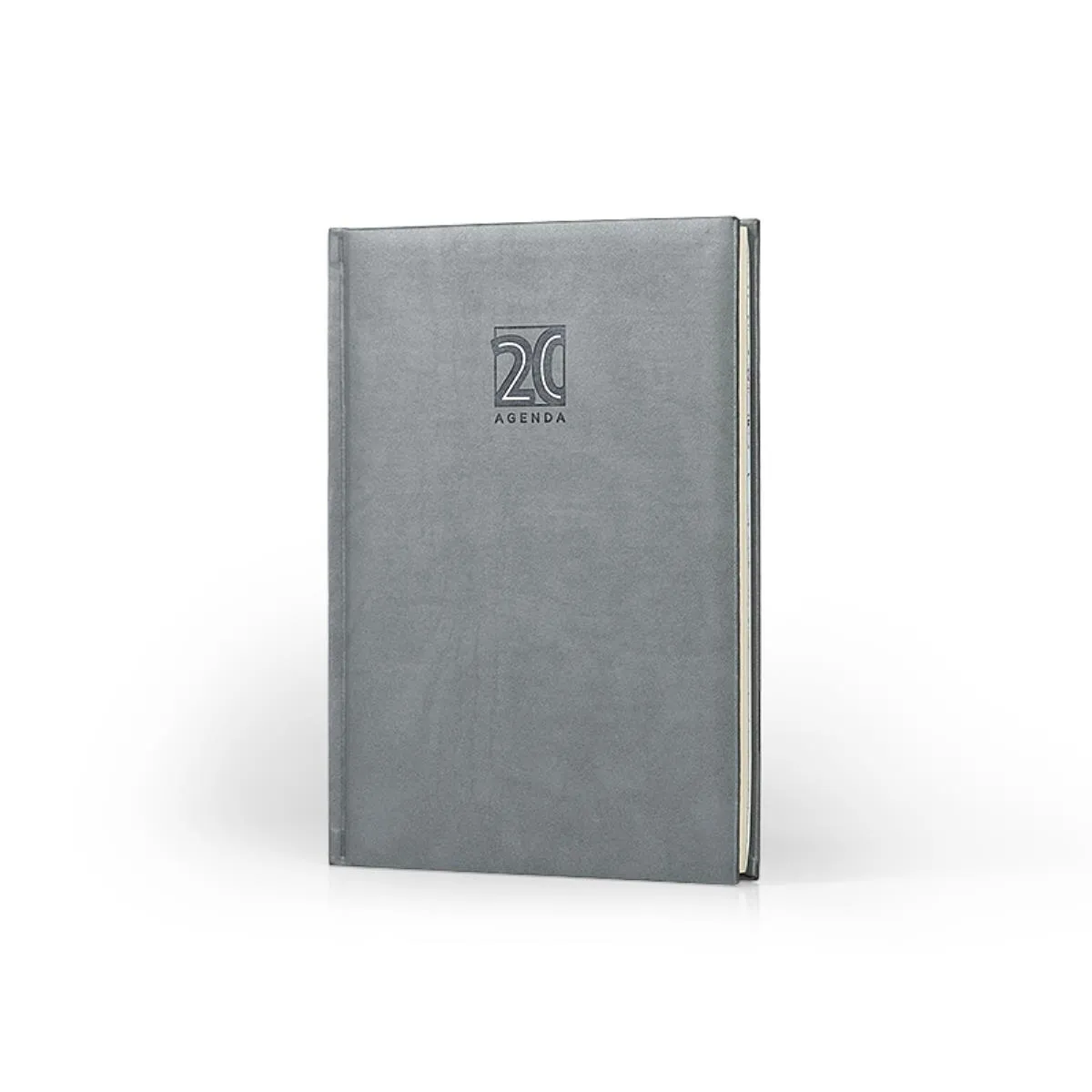 ROKOVNIK VENTURA 60.901.80 SILVER