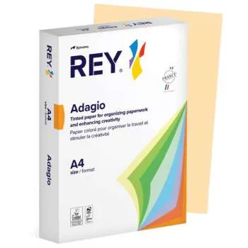 SYLVAMO REY FTK PAPIR 80GR PESAK