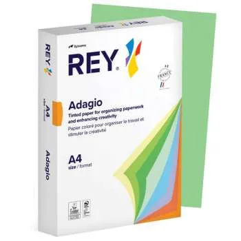 SYLVAMO REY FTK PAPIR 80GR SV.ZELENI INT