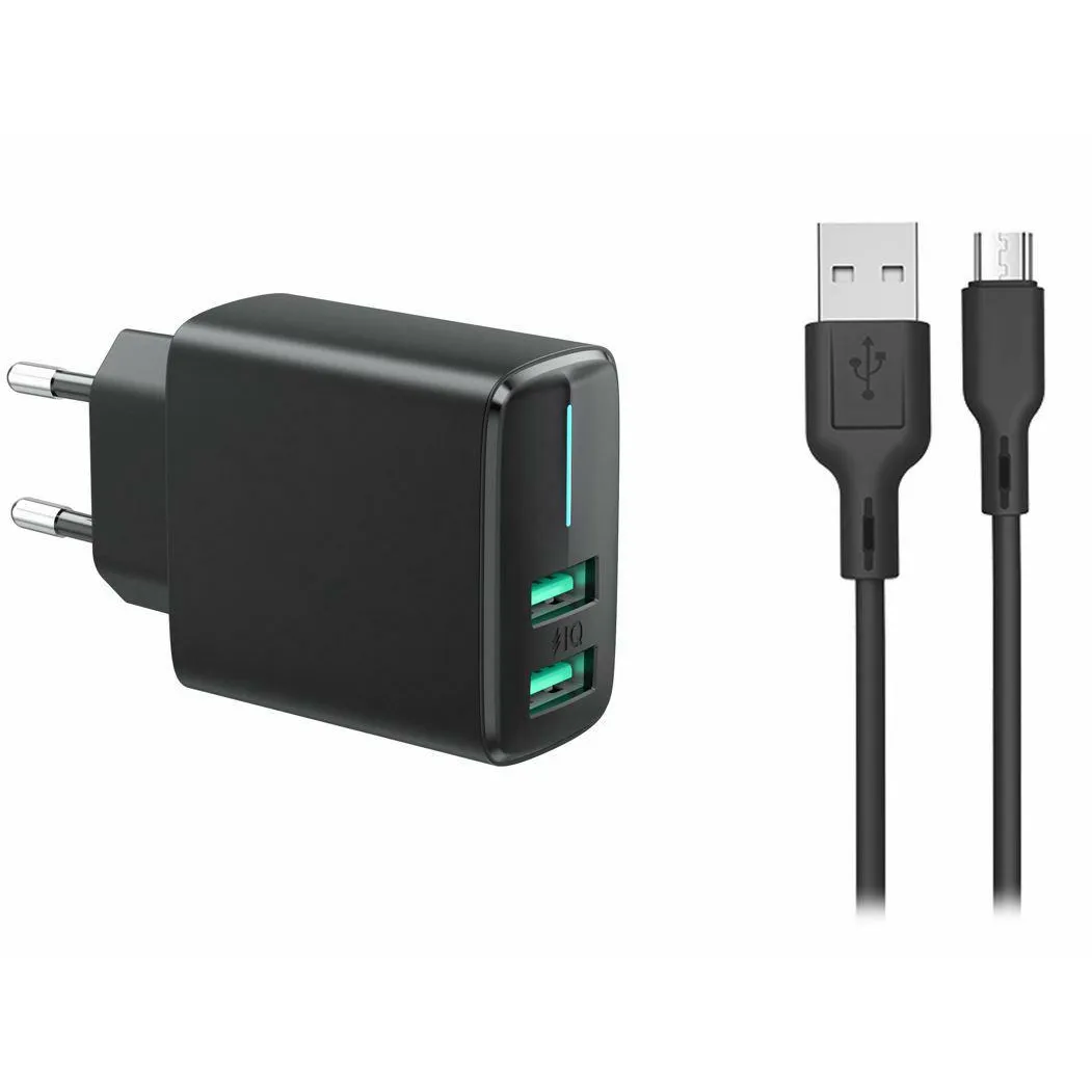 Brzi punjač: adapter 2xUSB 230V 2.4A + kabal Micro USB 1m Car Commerce