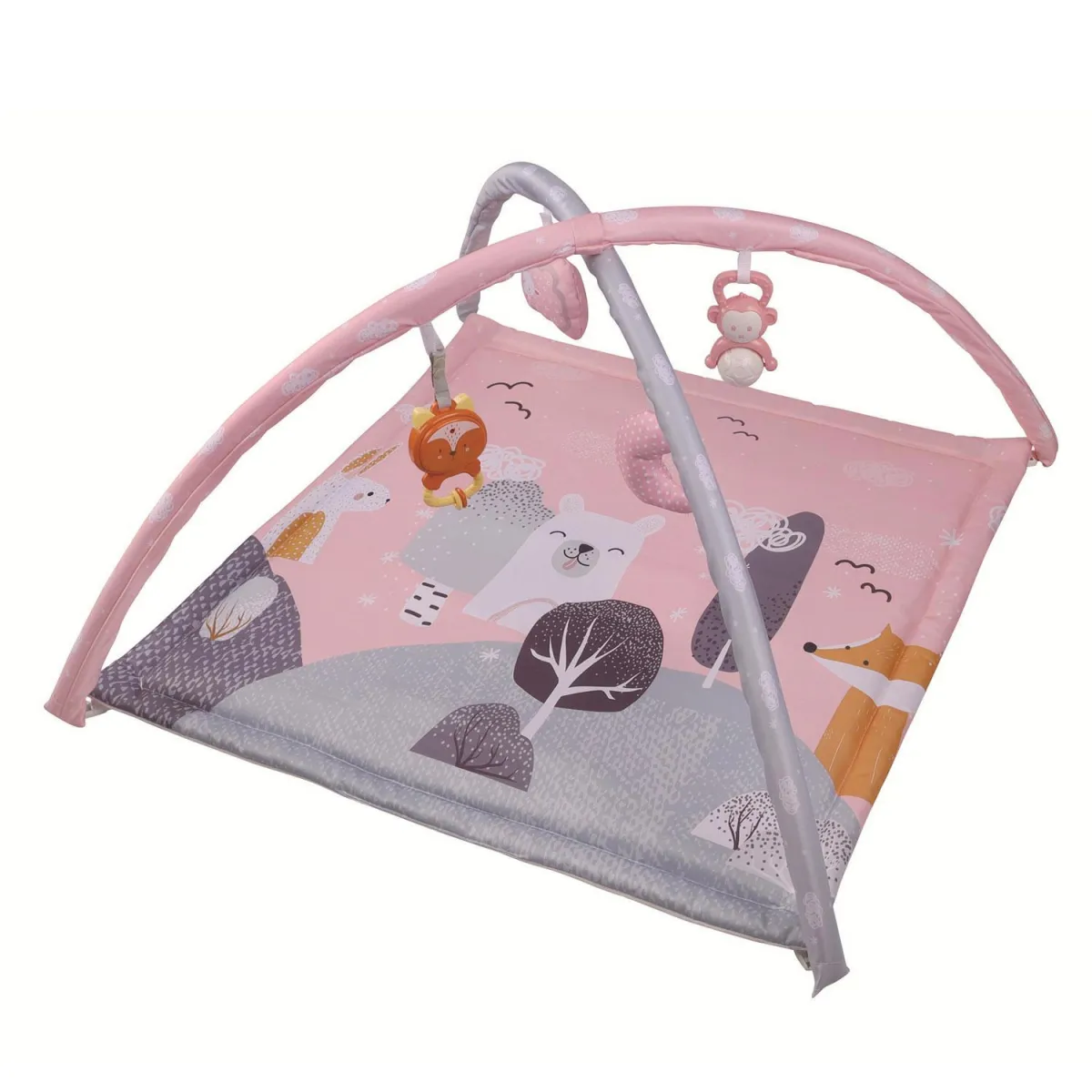 HK MINI BABY GIMNASTIKA ROZESIVA