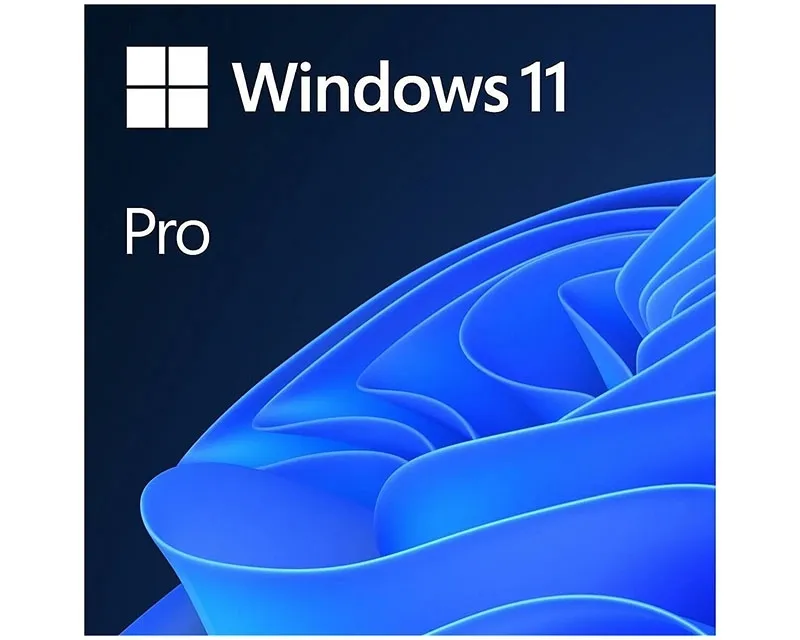 Windows Pro 11 FPP 64-bit (HAV-00164)