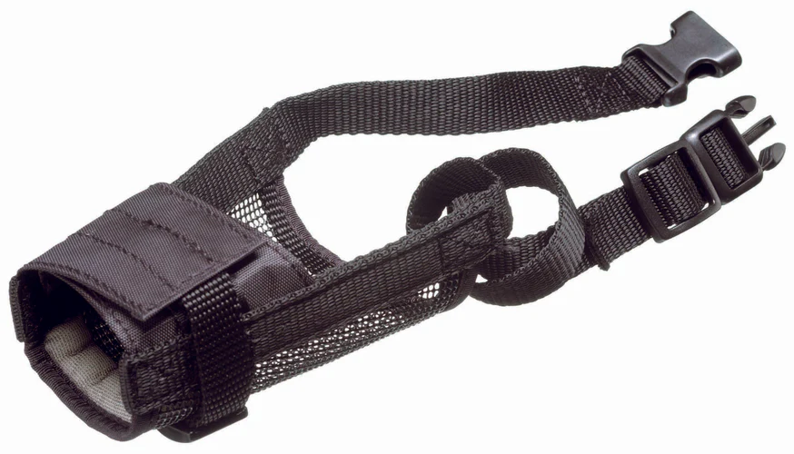 CAMON Brnjica za pse sa Klik kopčom podesiva, najlonska Crna