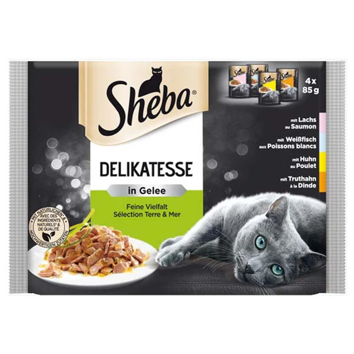 SHEBA Delikatesse Multipack za mačke Mesni Izbor u želeu, 4x85g