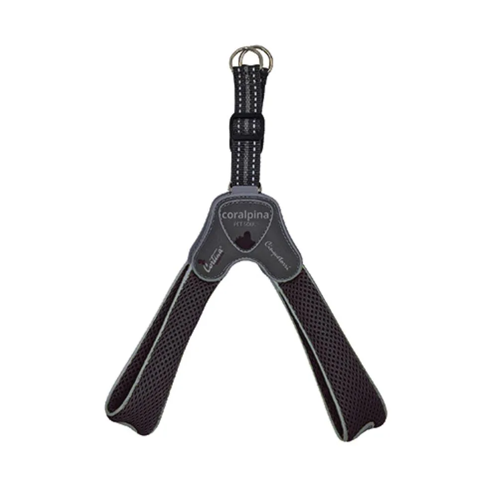 Am CINQUETORRI crni SZ5 40-50 cm
