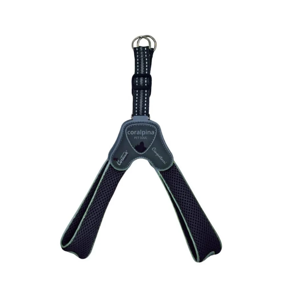 Am CINQUETORRI crni SZ6 45-55 cm