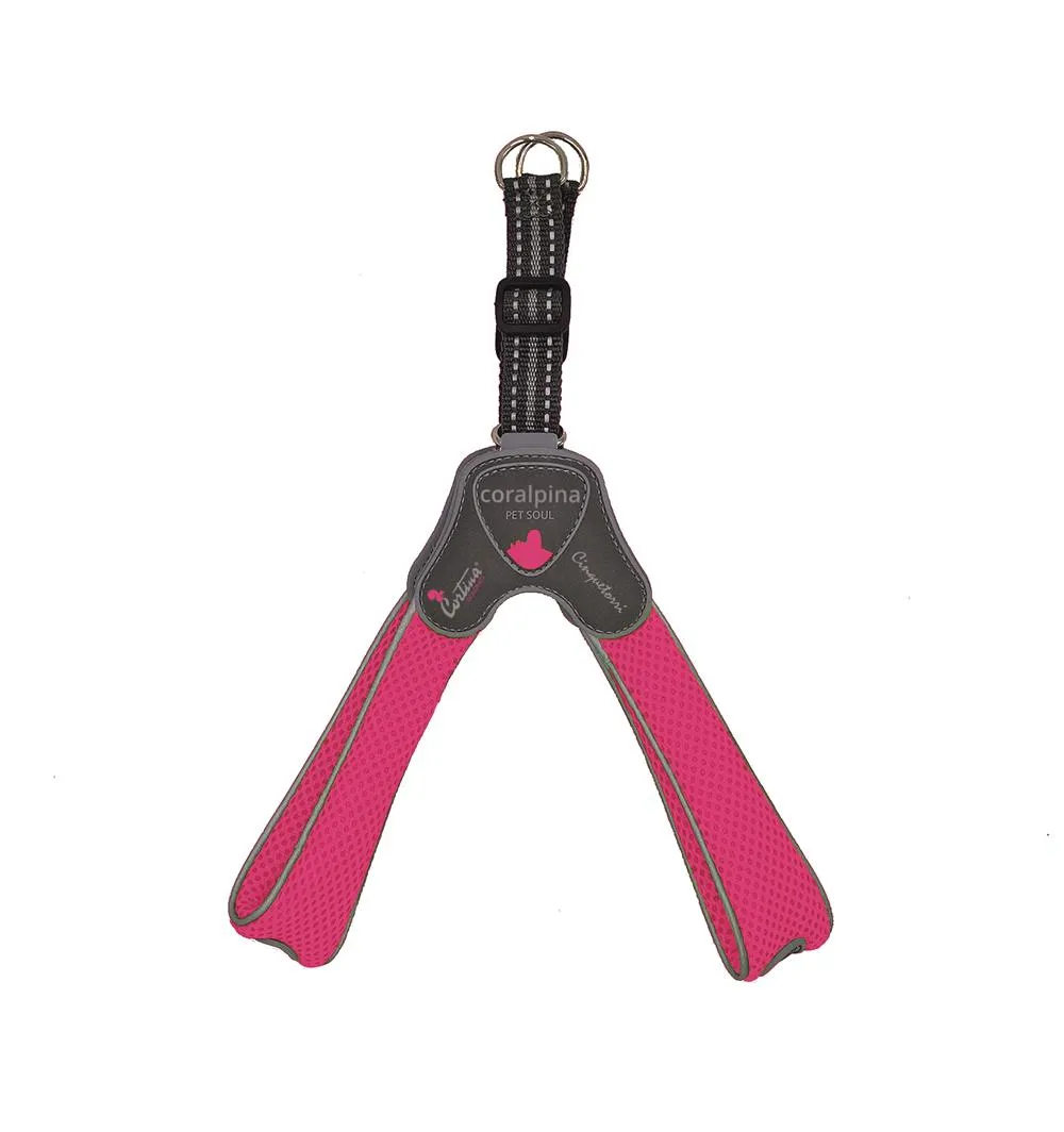 Am CINQUETORRI roze fluo SZ6 45-55 cm
