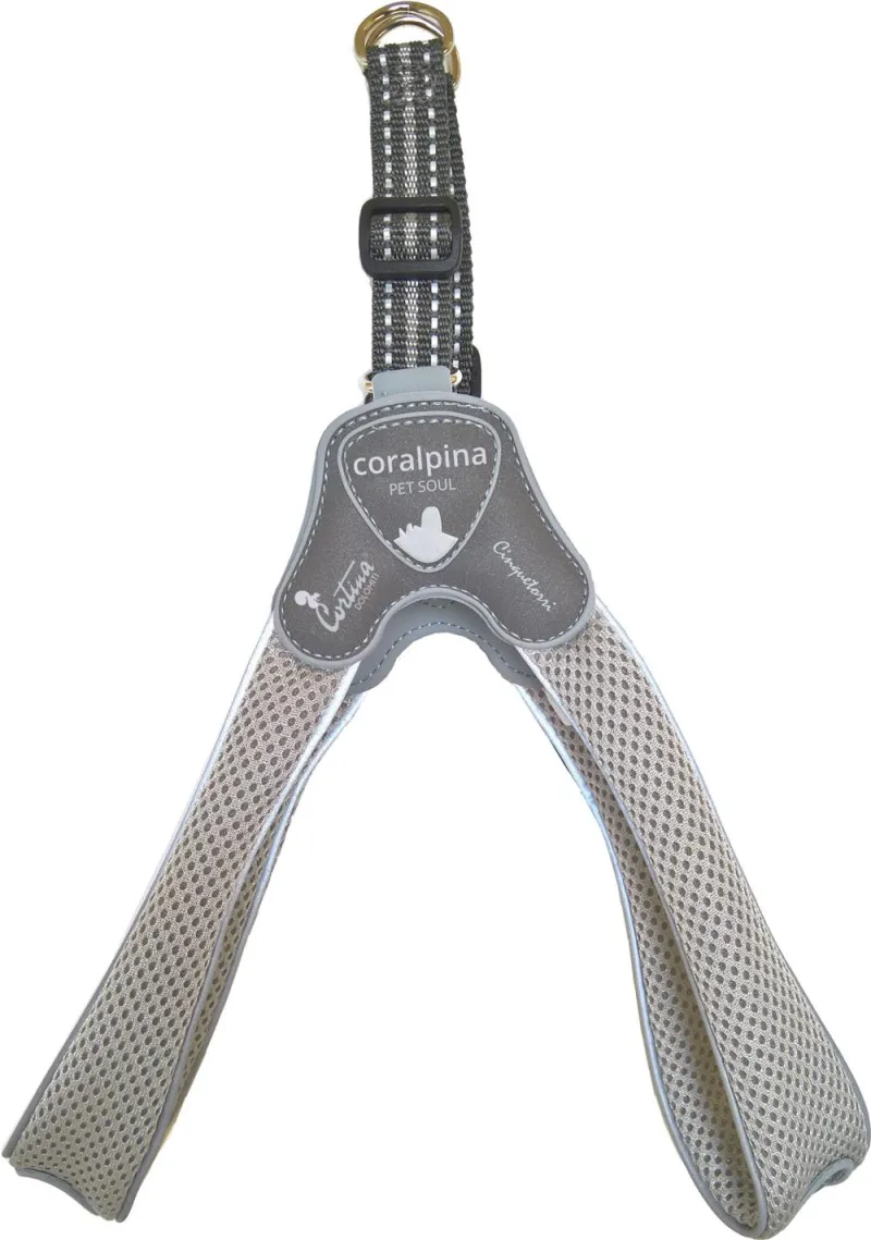 Am CINQUETORRI svetlosivi SZ7 50-60 cm