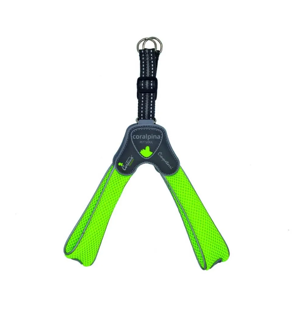 Am CINQUETORRI zeleni SZ8 60- 70 cm