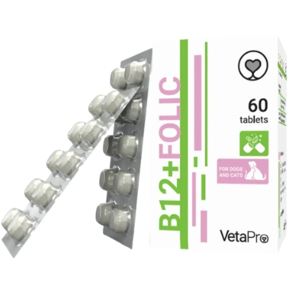 B12+Folic 60 tbl