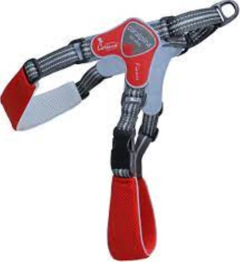 D.Am FIAMES crveni SZ 11 90-100 cm