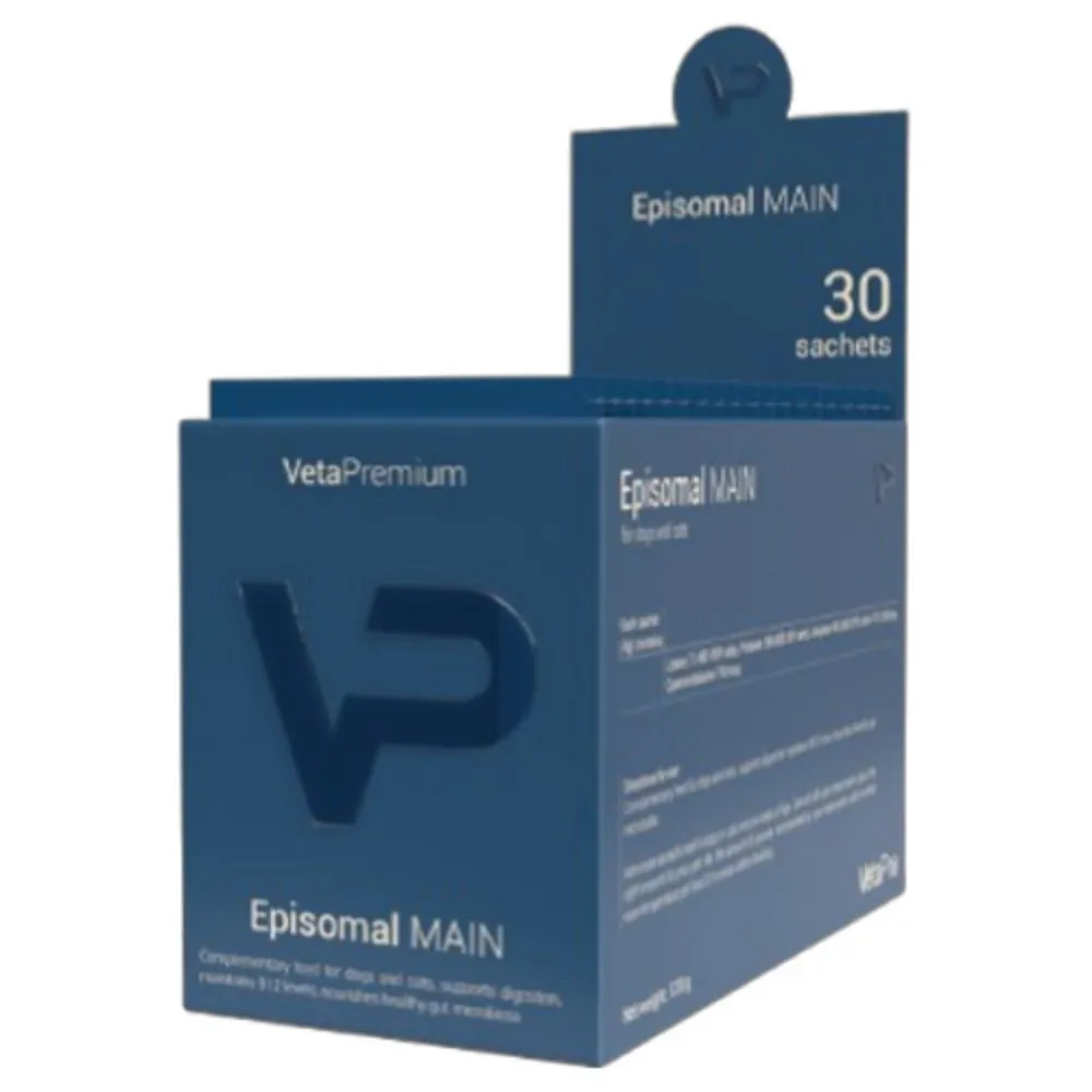 Episomal MAIN